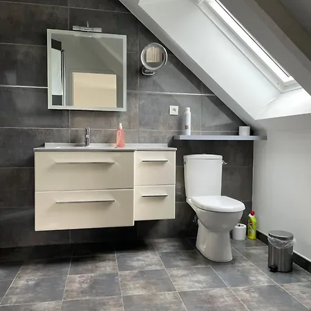 Les Jardins D Isaac Rue De La Musardiere 르망