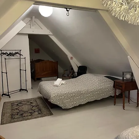 Les Jardins D Isaac Rue De La Musardiere * لو مان
