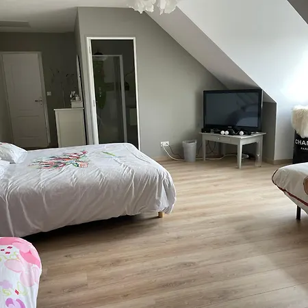 فندق مبيت وإفطار Les Jardins D Isaac Rue De La Musardiere لو مان