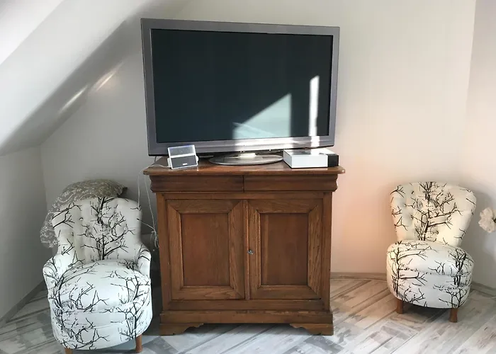 Les Jardins D Isaac Rue De La Musardière Le Mans